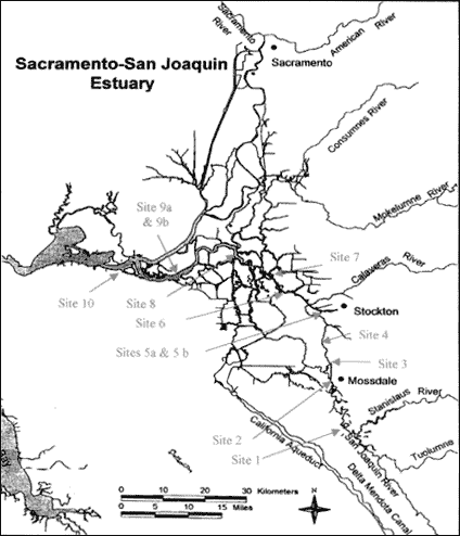 Proposed water temperature monitoring locations for the VAMP 2001 study.